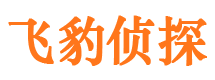 恩平飞豹私家侦探公司